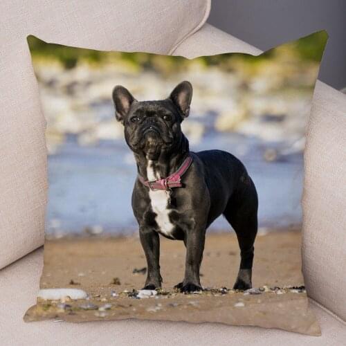 Soft Plush Mini French Bulldog Pillow Case for Home Sofa Car Decor Cute Pet Animal Dog Cushion Cover Print Polyester Pillowcase