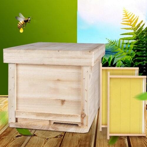 New Wooden Bee Hives In Beehive Box Chinese Fir Beehive Beekeeping Tool Set Pine