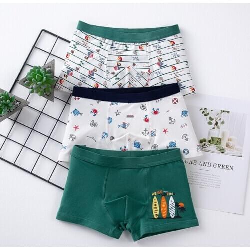 3 Pcs/lot Boys Underwear Clothes Cartoon Pattern For 2-10Years Old Kids Boxer Briefs Soft Teenager Shorts Panties Shorts