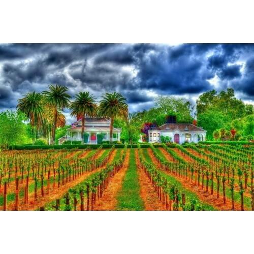 Seedling Trees Growing Field Farm Cottage backdrop High quality Computer print wedding background