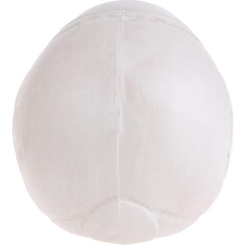 Plastic Human Mini Skull Decor Prop Skeleton Head Halloween Coffee Bars Ornament R9JB