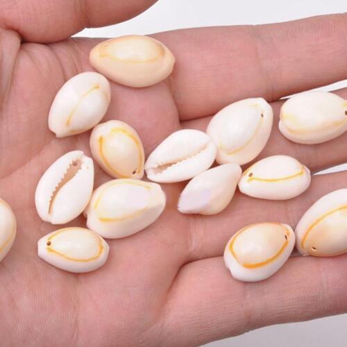 20Pcs Natural Shell Beads with Drilled Hole DIY Craft Tribal Jewelry Accessory hot