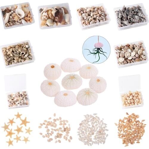 MIx Natural Sea Shells Conch Coquillage Beach Decor Craft Diy Marine Style Fish Tank Seashells Conch Embellishment