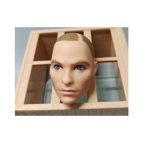 New Asia Face Rare Limited Collection Ken Prince Doll Toy Head Korean Idol Black Princess Doll Head Boy DIY Gift