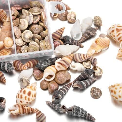 1Box Mix Natural Sea Shells Mini Conch Corn Screw Material Natural Craft Resin Fillings for Jewelry Making UV Epoxy Resin Tools