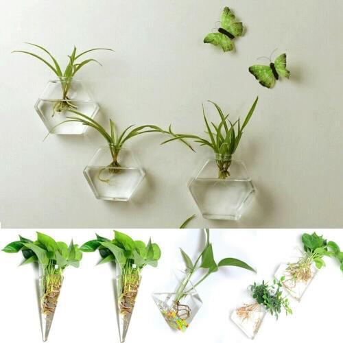 Unique Hanging Flower Pot Glass Ball Vase Terrarium Wall Fish Tank Aquarium