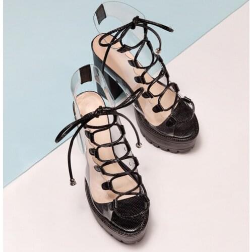 Women Candy Solid Color Lace-up Fish Mouth PVC Women Boots Transparent PVC Thick High Heel Boots Women Sexy Platform High Heels