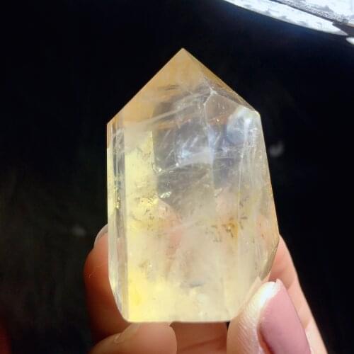 DENDRITES TOWER 2021