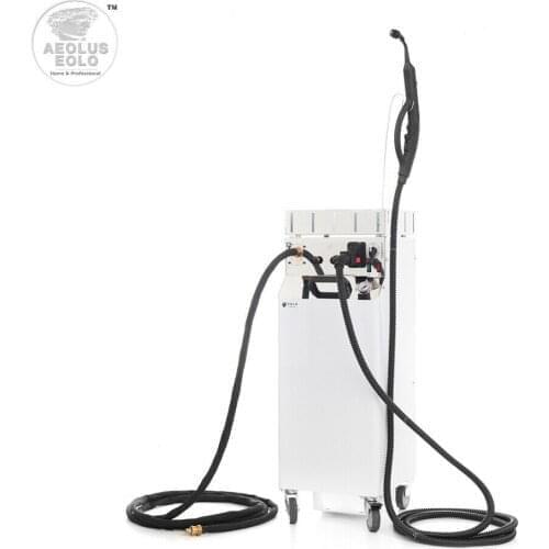 Professional Steam Generator Station Cleaning Sanitizing Automatic Refilling AV05 M DUAL RA