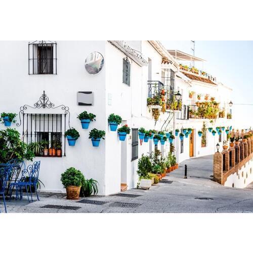 White building flower photo backgrounds vinyl wedding photography backdrops for photo Studio props Backdrops photophone LV-1863