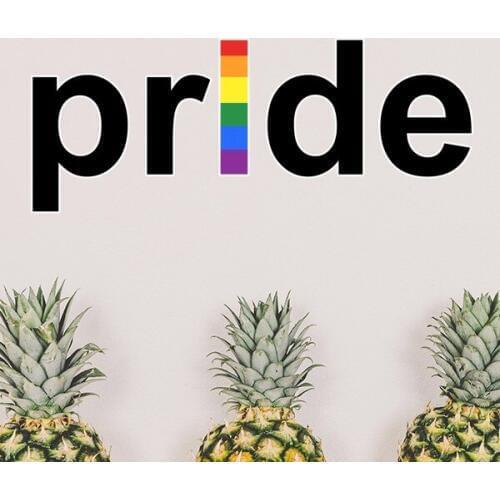 LGBT Rainbow Gay Lesbian Transgender Bisexuals Support Pride Flag Illustration Removable Wall Sticker Wallpaper for Room Decal