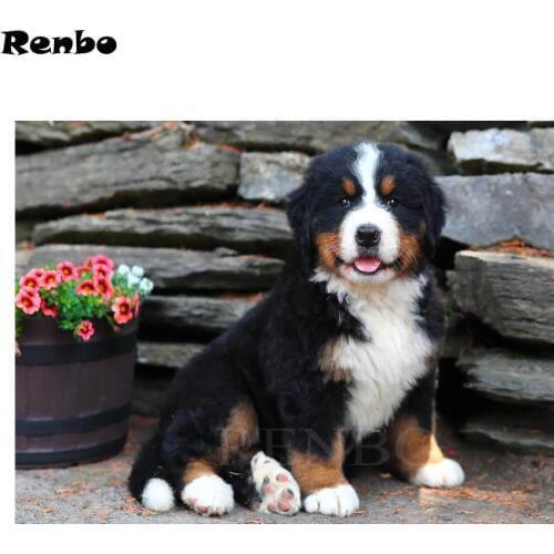 2018 New DIY Diamond Painting Bernese Mountain Dog Cute Pet Cross Stitch patterns beads Embroidery kits Mosaic Decor Crafts B263