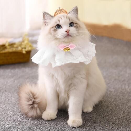 1PCS Cat Bib Cute Lace Flower Fashion Pet Bandana Cat Bandana Pet Bib for Pet Cleaning Towel Neckerchief Decoration