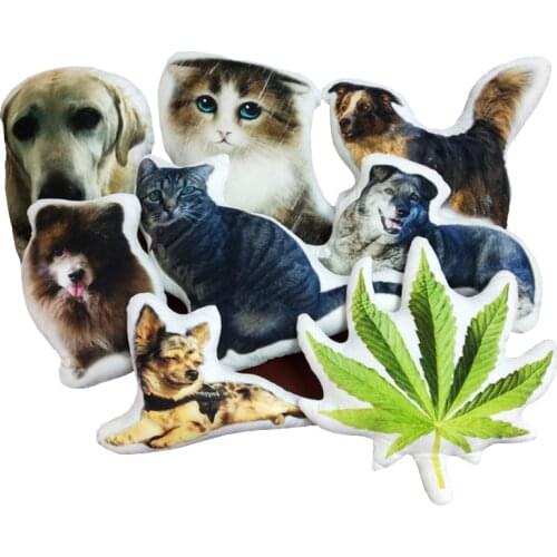 Photo Pesonalized Pet Cat Dog Cushion Full Body Pillow Pet Anniversary Memorial Gift Cute Decorative Pillows Cushions For Sofa