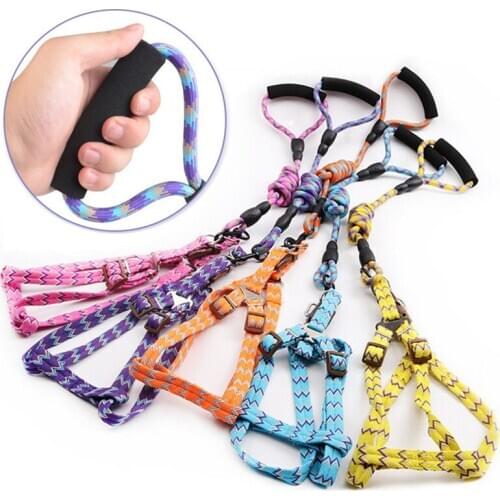 Nylon Pet Dog Harness Collar Leash Set Adjustable Pet Walking Lead Collar Traction Rope Small Large Dog Training Accessories