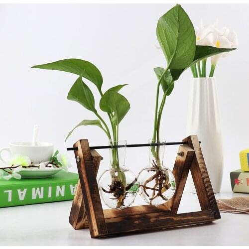 Ready Stock Creative Green Plant Culture Vase