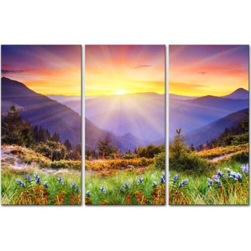 3 Pieces Majestic Sunset in The Mountains Purple Flowers in Autumn Landscape Mountain Framed Ready to Hang Drop shipping