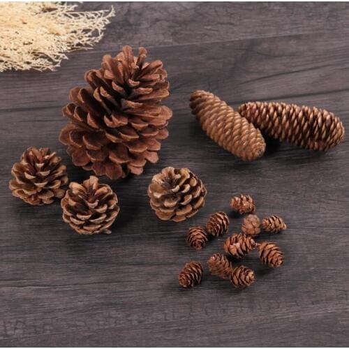A Set Mixed Pine Cones Pinecones Forest Style For Photograph Home Wedding Party Hotel Venue Decoration Craft DIY