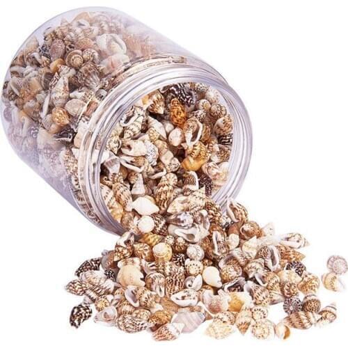 WSFS Hot About 1300-1500 Tiny Sea Shell Ocean Beach Spiral Seashells Craft Charms 7-12mm for Candle Making,Home Decoration,Beach