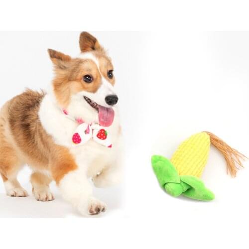 Pet Dog Chew Squeaky Cloth Doll Puppy Play Pet Training Teeth Corn Cactus