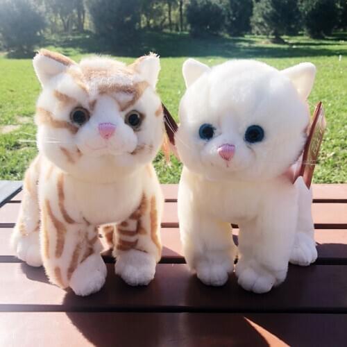 Cute cat plush toy cartoon kitty about 25cm soft doll kids toy car decoration birthday gift h0740