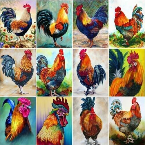 HUACAN Paint By Number Chicken Hand Painted Painting Art Gift Coloring By Numbers Animal Kits Room Decoration