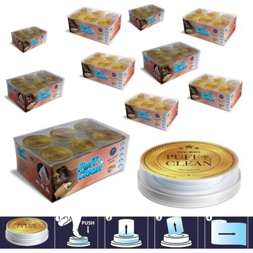 Pufai Puff Clean Leather Shoes Jacket Cleaning Wipes Capsules 240 Cleaning Capsules in 10 Boxes