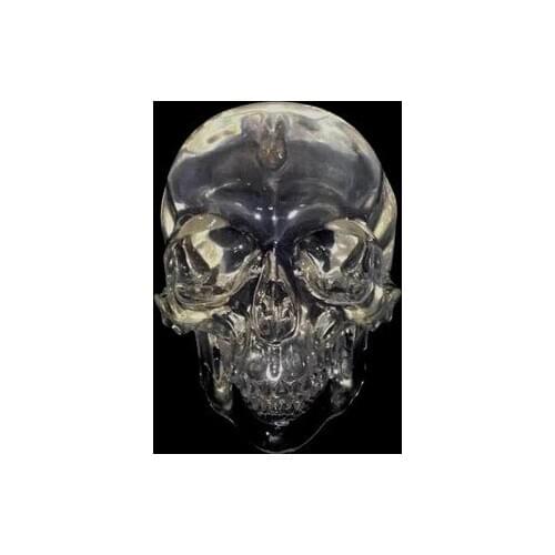 Human Evolution Edition Crystal clear Art Skull model 11*9cm free shipping