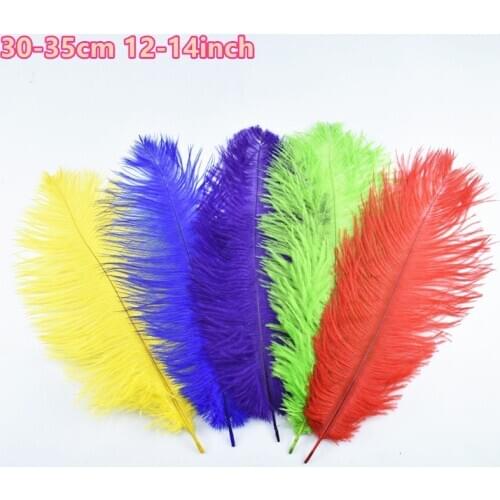 10Pcs/Lot Colored Ostrich Feathers for Crafts 30-35cm12-14" Craft White Ostrich Feather Decor Decoration Feathers for Needlework