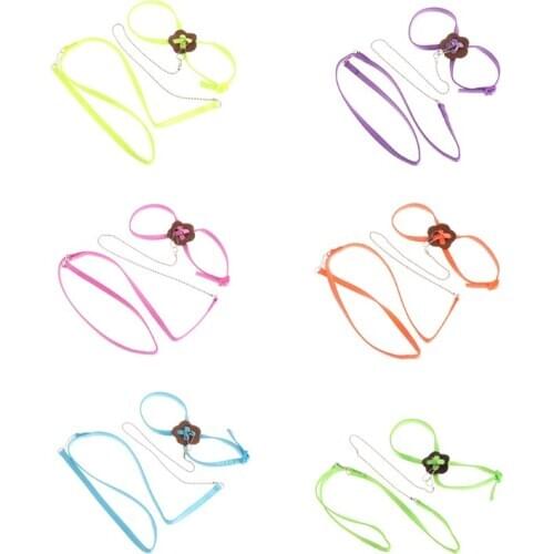Colorful Parrot Bird Leash Outdoor Adjustable Harness Training Rope Belt Walking Lead Bird Leash