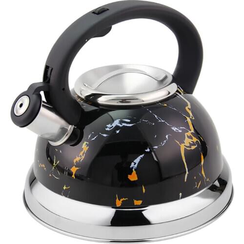 Starry Sky Paint Charming Boiler Kettle Stainless Steel Whistling Kettle 3.0L GS04017Q
