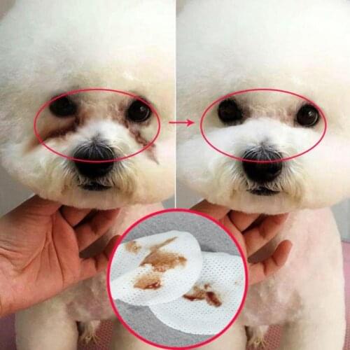 VKTECH Cleaning Wipes For Animals China
