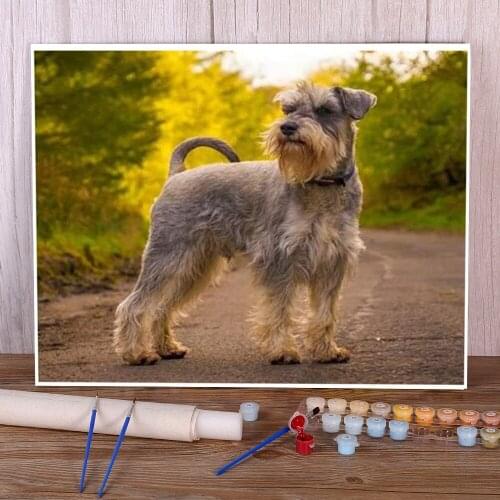 Animal Dog Schnauzer Painting By Numbers Set Oil Paints 40*50 Boards By Numbers Home Decor For Handicraft