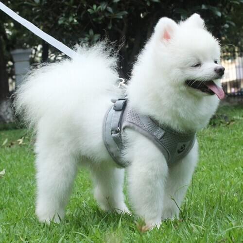 Pet Puppy Dogs Harness And Leash Set Reflective Dogs Cat Breathable Mesh Harness Vest Chest Strap Pet Collar Dog Accessories