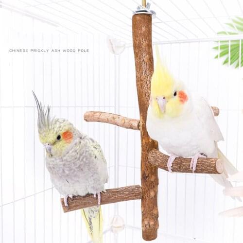 Hot Bird Toys Natural Wild Prickly Pear Tree Stick For Myna Thrush Parrot Bird Standing Stick Perching Stick Birds Accessoires