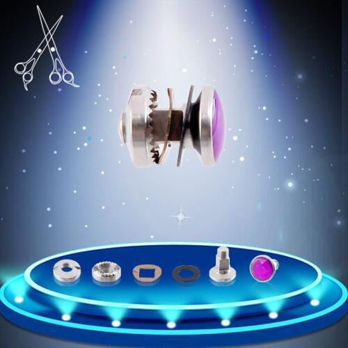 10 Sets Stainless Steel Bearing Screw For Hair Scissor Tornillo Parts Hair Salon Shear Scissors Vis De Palier Accessorices