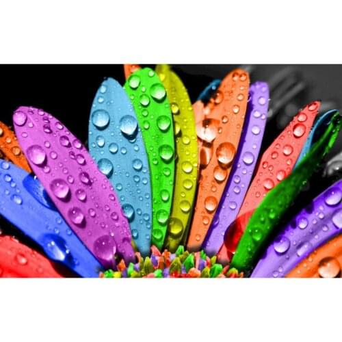 GATYZTORY 60x75cm Painting By Numbers DIY Colorful Petals Room Wall Art Framed Oil Paint For Adults Home Decoration