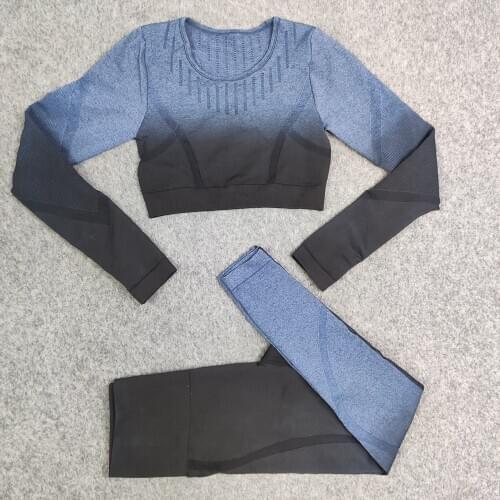 New 2PCS Ombre Seamless Women Sport Set Fitness Crop Top Gym Workout Clothes Long Sleeve Running High Waist Leggings Yoga Set