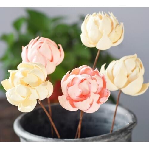 1pcs 60cm art lotus branch natural dried flower real flower home decor arrangement creative wedding decoration decorative floral
