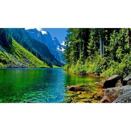 C08430 11CT/14CT/18CT/25CT/28CT oil street patterns Counted Cross Stitch DIY Cross Stitch Kits Embroidery Needlework Sets