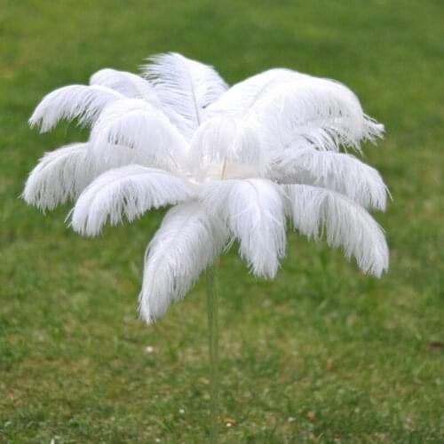 100 pcs beautiful White 18-20inches /45-50cm ostrich feathers DIY jewelry decoration / wedding celebration