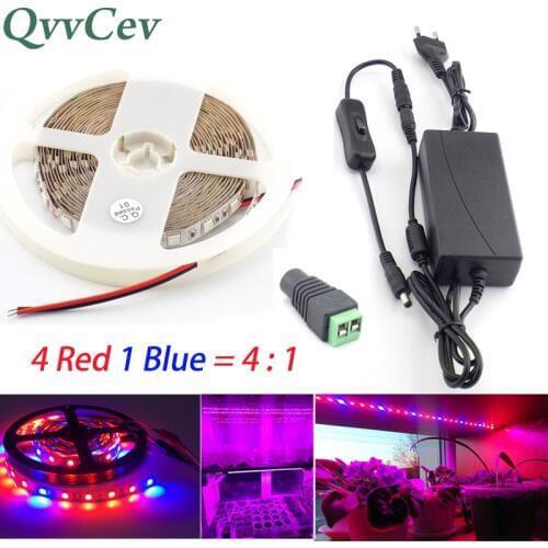 Qvvcev 2M 3M 5M Waterproof Plant Led Lamp Grow Strip Light indoor greenhouse 4 Red 1 Blue lights 12V 2A/3A Power Supply+Switch