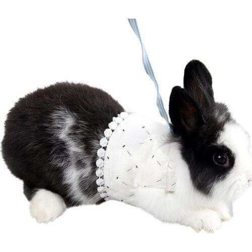 3 Colors Flower Print Lace Cotton Small Pet Leashes Squirrel Guinea Pig Mink Rabbit Outdoor Walking Traction Rope Harnesses Belt