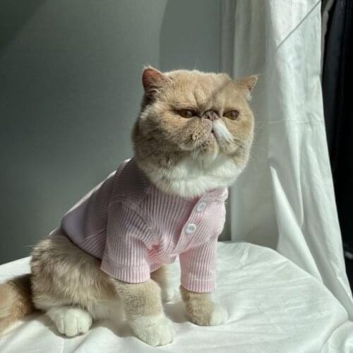 Pet Cat Clothes Hairless Cat Pink Elastic Thread T-shirt Dog Teddy Small Dog VIP Garfield cat paws long sleeve top