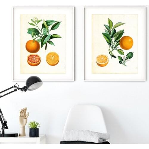 Orange Citrus Canvas Painting Prints Kitchen Wall Art Decor Vinatge Botanical Fruit Poster Pictures Home Room Decoration Poster