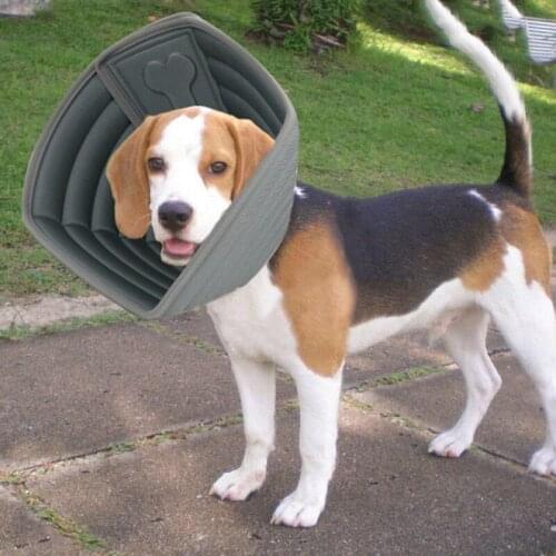 Dog Cone Collars Cat EVA Anti Bite Scratching Collar For Dogs After Surgery Pets Recovery Protective Collars Pet Safty Supplies