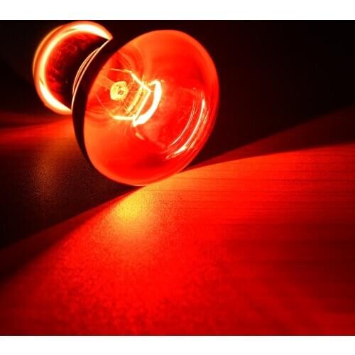 Hight Quality Amphibian Bird Snake Reptile Red Light Night Heating Lamp With Logo