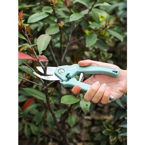 Garden Scissors Pruning For Branches And Fruit Trees