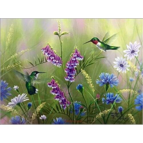 Counted Cross Stitch Kits Needlework Embroidery - Crafts 14 ct Aida DMC Color DIY Arts Handmade Home Decor - Summer Hummingbird
