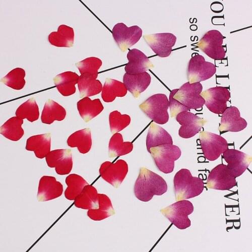 Heart-shaped Small Real Dried Flower Dry Plants for Phone Case Pendant Necklace Jewelry Making Craft DIY Accessories Brooch